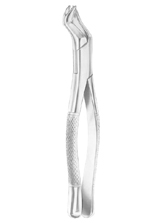 NEVIUS Fig. 88L upper molars left